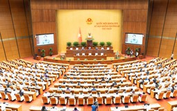 Đề xuất bỏ hình phạt tử hình với 6 tội danh