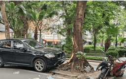 Đừng để thông tin sai sự thật 'dẫn dắt'