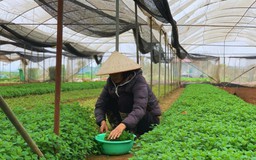 Hà Nội nâng cao năng lực cho các hợp tác xã nông nghiệp