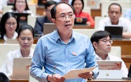 Hoàn thiện cơ chế đặc thù xử lý vi phạm kinh tế