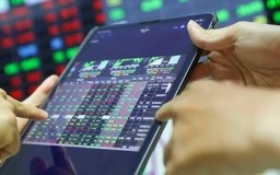 VN-Index tăng gần 34 điểm trước giờ FTSE công bố nâng hạng
