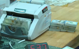 Nhập siêu cao, tỷ giá vẫn ổn định | Vấn đề kinh tế | 21/08/2026