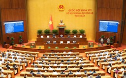 Bảo vệ quyền lợi người mua nhà hình thành trong tương lai