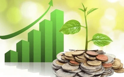 Gần 30 doanh nghiệp chốt cổ tức tuần tới, cao nhất 25%