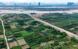 Cần đẩy nhanh quá trình xác định giá đất