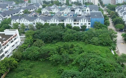 Dự án bỏ hoang lãng phí nguồn lực đất đai
