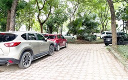 Tình trạng chiếm dụng vườn hoa, công viên: Cần xử lý triệt để vi phạm