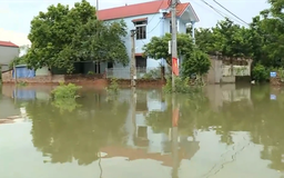 Nhiều hộ dân xã Trung Giã bị ngập sâu