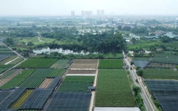 Đánh thuế cao với đất chậm đưa vào sử dụng