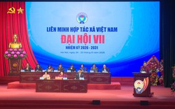 Hình thành thế hệ hợp tác xã mới, hiện đại, hiệu quả