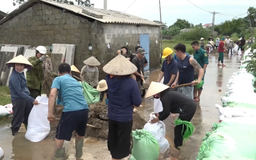 Xuân Mai huy động hơn 150 người chống tràn đê Bùi