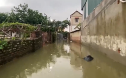 Hơn 300 hộ dân tại xã Trung Giã bị cô lập do lũ dâng cao