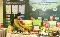 Gỡ khó nguồn vốn, tiếp sức doanh nghiệp nhỏ và vừa tăng trưởng