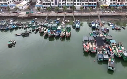 Trung Quốc ứng phó bão Saudel sau khi bão Narra suy yếu