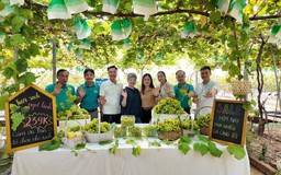 Nông nghiệp ven đô: Không chỉ bán nông sản