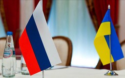 Triển vọng mới về nối lại đàm phán hòa bình Nga - Ukraine