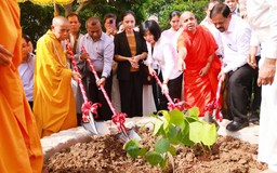 Cung nghinh và trồng cây Bồ đề thiêng tại chùa Vạn Phúc