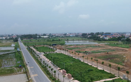 Giá đất nền giảm mạnh