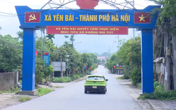 Hơn 3.800 thửa đất đã được làm sạch tại xã Yên Bài