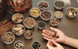 Những biến chứng đáng tiếc khi tự ý dùng thuốc Đông y