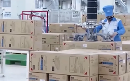 Lao động ở lại nước ngoài trái phép phạt 100 triệu