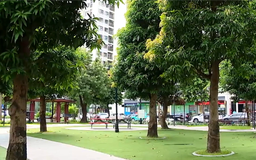 Đô thị xanh - Từ chất lượng sống đến giá trị bền vững