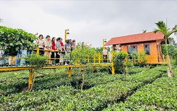 Thúc đẩy quảng bá, tiêu thụ sản phẩm OCOP
