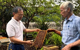 Xây dựng sản phẩm OCOP phát triển kinh tế địa phương