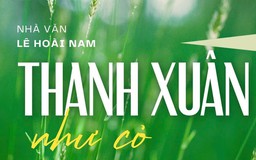 Tiểu thuyết 'Thanh xuân như cỏ' (phần 12) - Lê Hoài Nam
