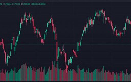 Chứng khoán hưng phấn, VN-Index vượt vùng kháng cự 1.770 điểm