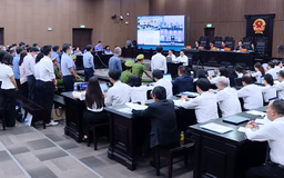 Không hình sự hóa các vi phạm vì lợi ích chung