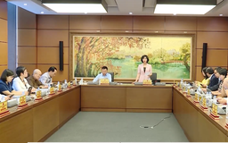 Bổ sung chế tài khắc phục tình trạng vi phạm bản quyền