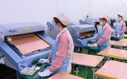 Lan tỏa công nghệ từ FDI sang doanh nghiệp trong nước