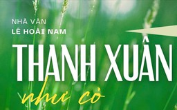 Tiểu thuyết 'Thanh xuân như cỏ' (phần 14) - Lê Hoài Nam