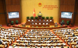 Chính phủ trình Quốc hội xem xét thành lập hai thành phố mới