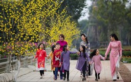 Hai phương án nghỉ Tết Đinh Mùi