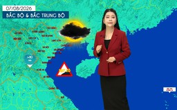 Dự báo thời tiết tối | 07/08/2026