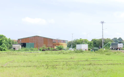 Đề xuất đánh thuế đất bỏ hoang, hạn chế đầu cơ đất nền