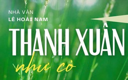 Tiểu thuyết 'Thanh xuân như cỏ' (phần 15) - Lê Hoài Nam