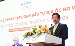 Nợ vay kỷ lục, Novaland huy động hơn 8.000 tỷ đồng từ cổ đông