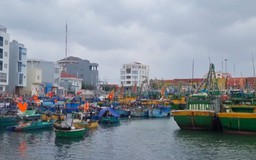 Trực ban 24/24h sẵn sàng ứng phó áp thấp nhiệt đới