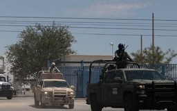 Mexico triển khai quân đội bảo vệ hoạt động xuất khẩu bơ
