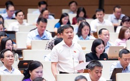 Nghiên cứu thu hút nhân lực chuyên môn cao trong phòng, chống rửa tiền