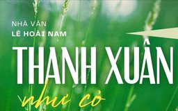 Tiểu thuyết 'Thanh xuân như cỏ' (phần cuối) - Lê Hoài Nam
