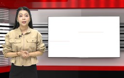 Bản tin 141 | 01/09/2026