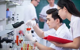 Đổi mới chính sách, giữ người giỏi - Nền tảng nâng tầm đại học Việt Nam