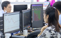 Hơn 500 mã giảm, VN-Index mất mốc 1.800 điểm