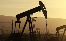 OPEC điều chỉnh giảm dự báo tăng trưởng nhu cầu dầu mỏ