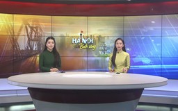 Chương trình Hà Nội buổi sáng | 11/09/2026