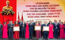 Chủ tịch Tập đoàn BRG đón nhận danh hiệu Anh hùng lao động